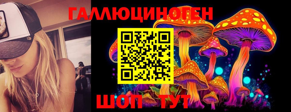 наркотики  Вход с VPN  Псилоцибиновые грибы Psilocybe  Гусь-Хрустальный  Галлюциногенные грибы Cubensis 